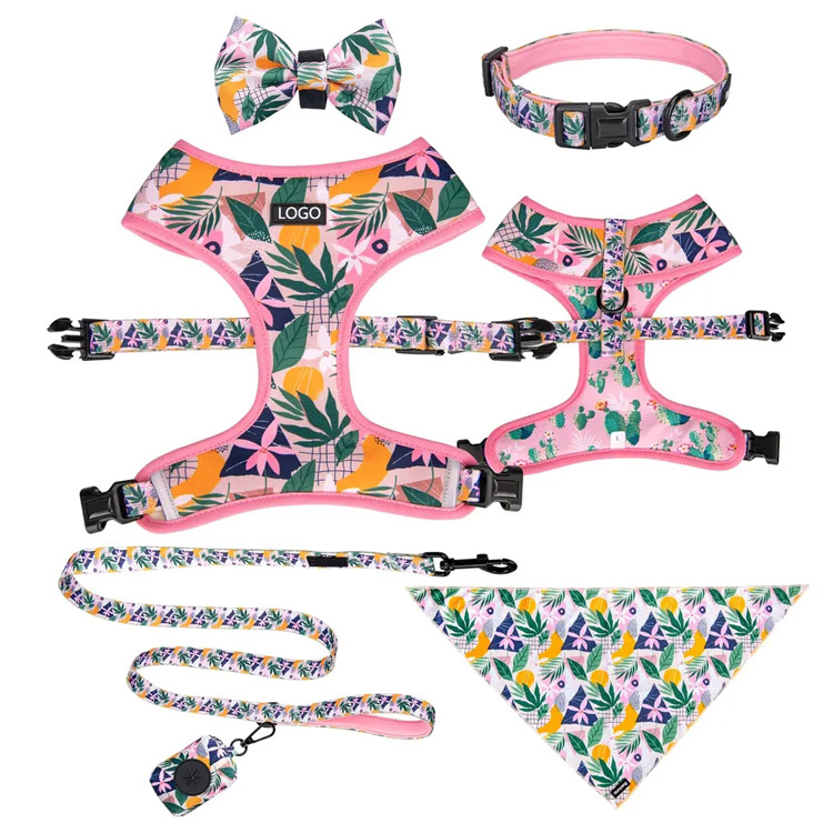 Set Kerah Harness dan Leash Anjing Tanpa Tarik yang Dapat Disesuaikan