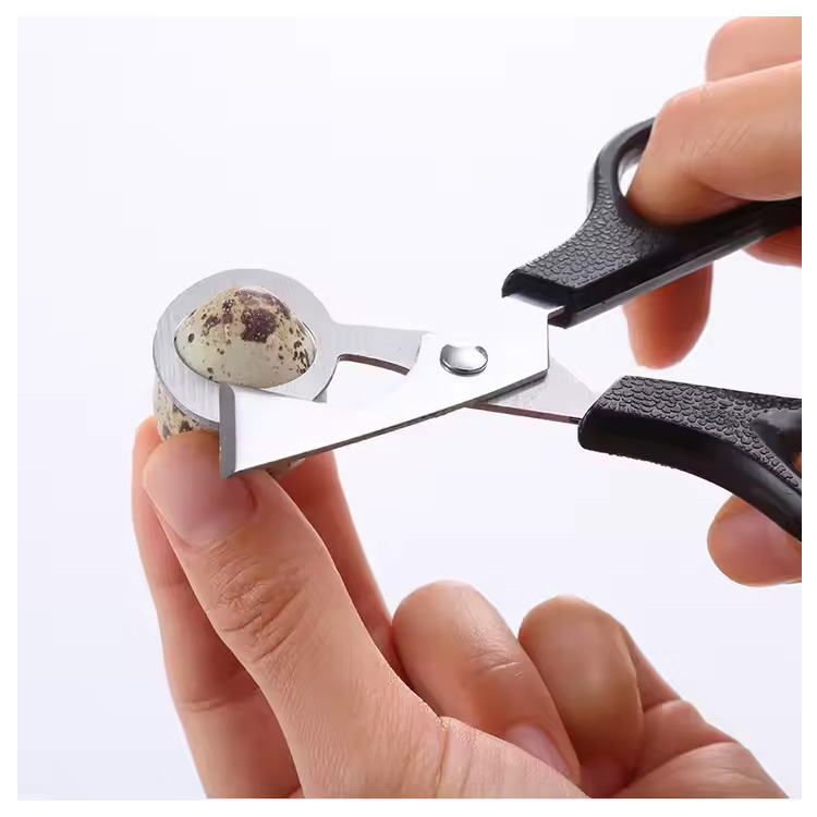 Alat Dapur Murah Pigeon Burung Burung Telur Clipper Cutter Scissor