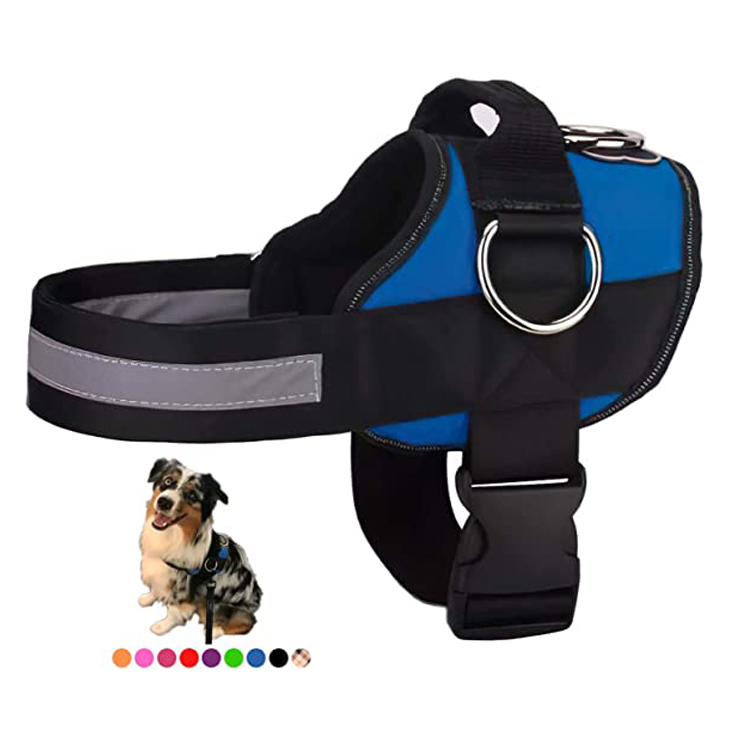 Harness Anjing