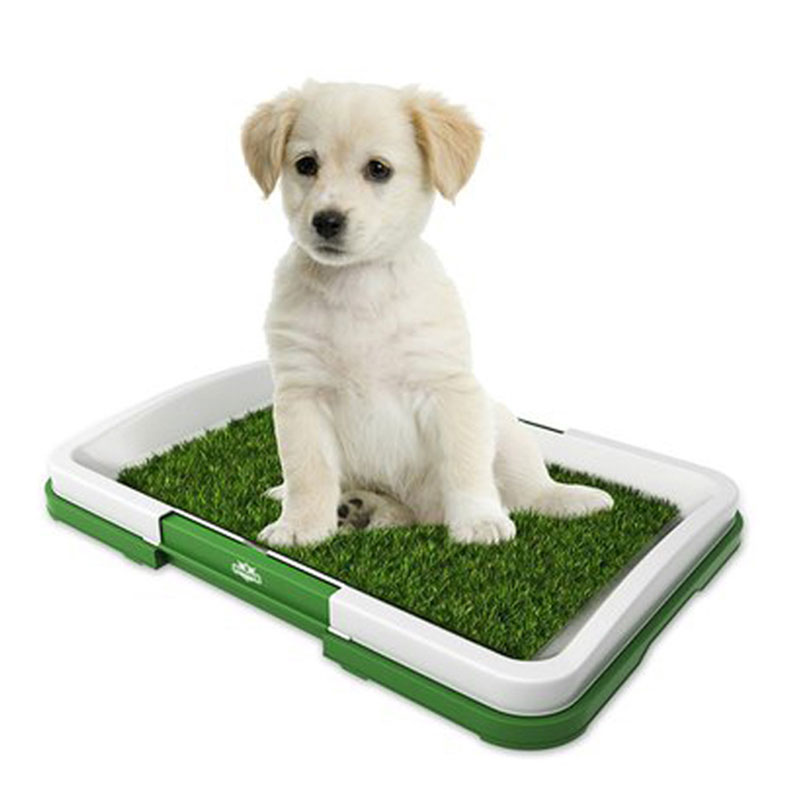 Tikar rumput Indoor Pet Potty Tray