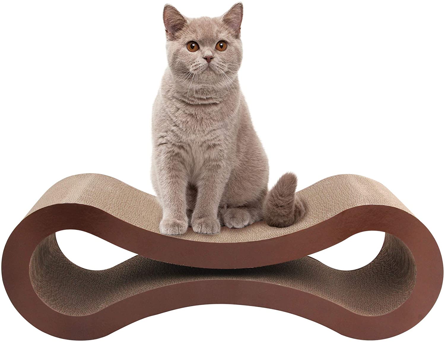 Ruang Tunggu Cat Scratcher Tempat Tidur Karton Catnip Superior